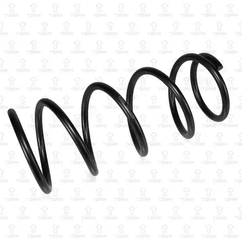 TORR df0105 - пружина передняя