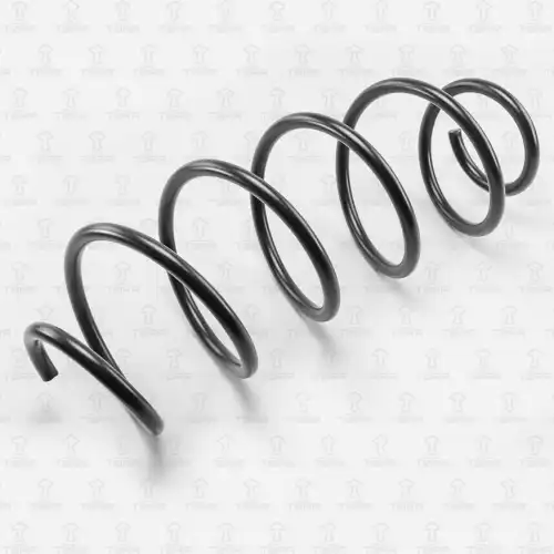 TORR df0106 - пружина передняя