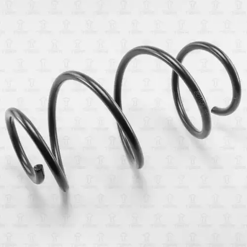 TORR df0108 - пружина передняя