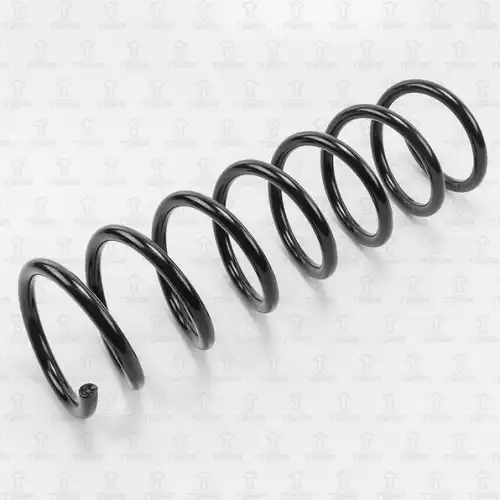 TORR df0109 - пружина подвески задняя