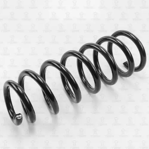 TORR df0116 - Пружина передняя