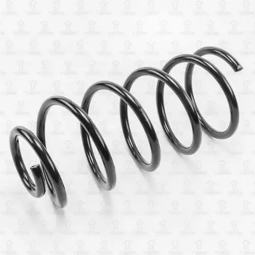 TORR df0119 - пружина подвески передн.