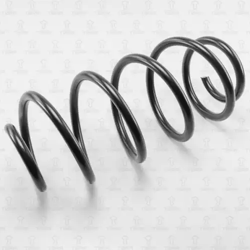 TORR df0120 - пружина передняя