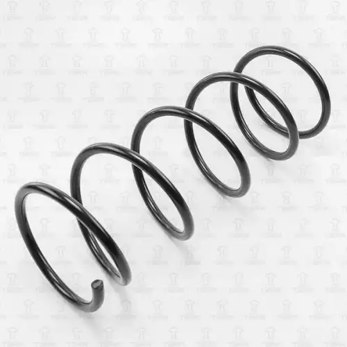 TORR df0127 - Пружина передняя