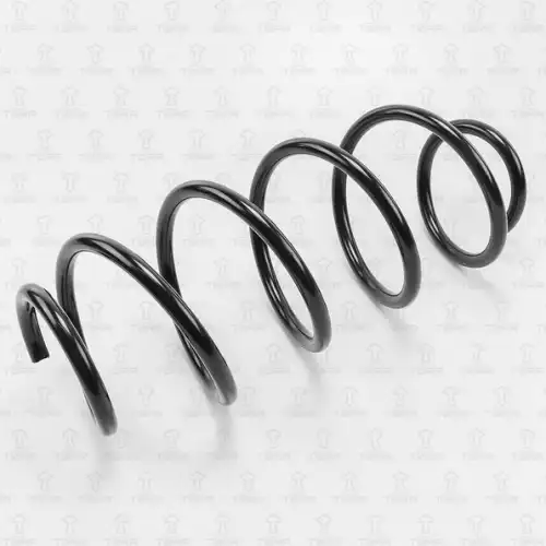 TORR df0129 - Пружина передняя