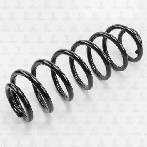 TORR df0131 - пружина задняя