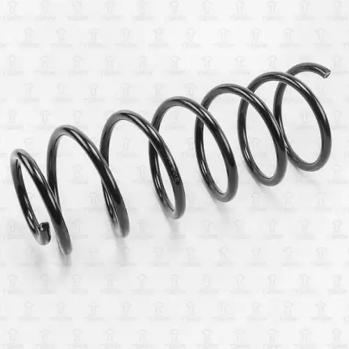 TORR df0132 - Пружина передняя