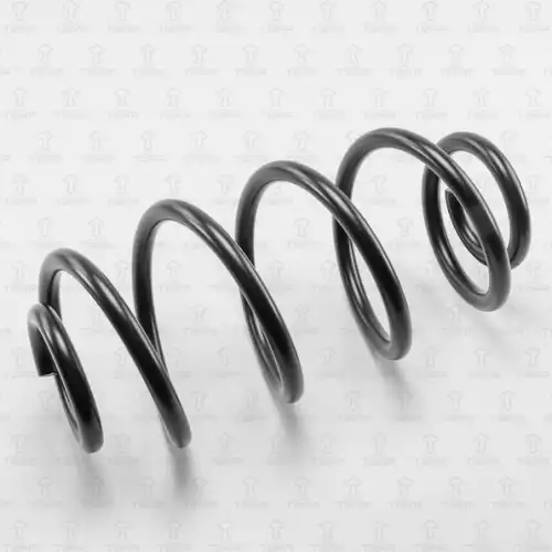 TORR df0137 - пружина задняя