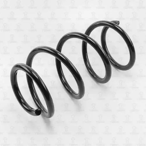 TORR df0146 - пружина передняя