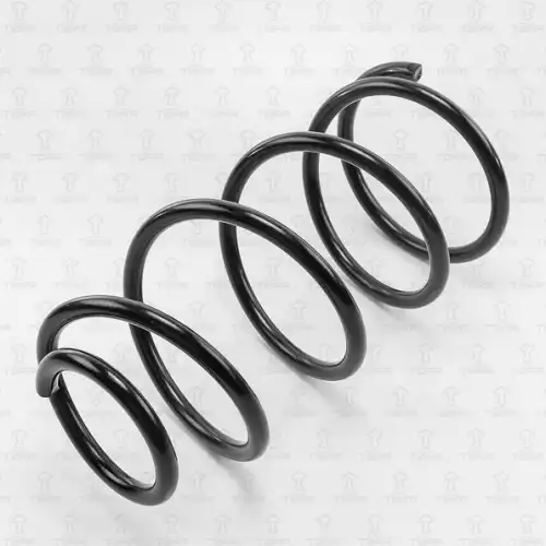 TORR df0150 - пружина передняя