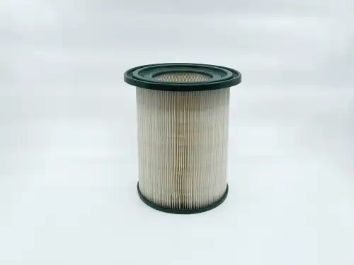 BIG FILTER gb529 - фильтр воздушный!\ GAZ Next