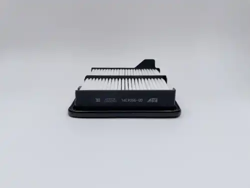 BIG FILTER gb95043pl - Фильтр воздушный BIG GB-95043PL (C 18 004)