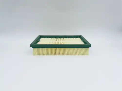 BIG FILTER gb9787 - Воздушные фильтры BIG Filter