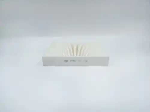 BIG FILTER gb98002 - Воздушный фильтр салона BIG Filter (без рамки)