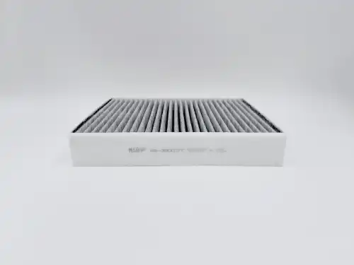 BIG FILTER gb98002c - фильтр салона! угольный\ BMW F20/F30 11>