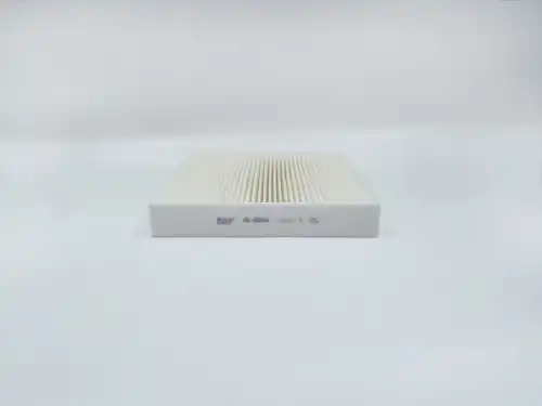 BIG FILTER gb98094 - фильтр салона