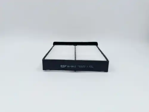 BIG FILTER gb9812 - фильтр салона