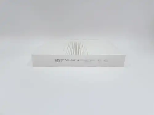 BIG FILTER gb9814 - фильтр салона