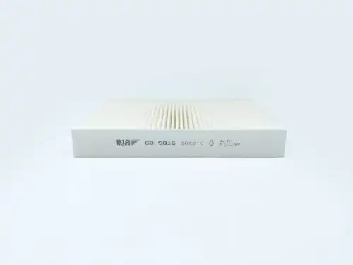 BIG FILTER gb9816 - фильтр салона