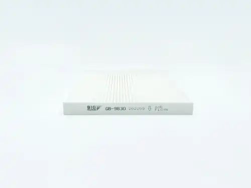 BIG FILTER gb9830 - фильтр салона