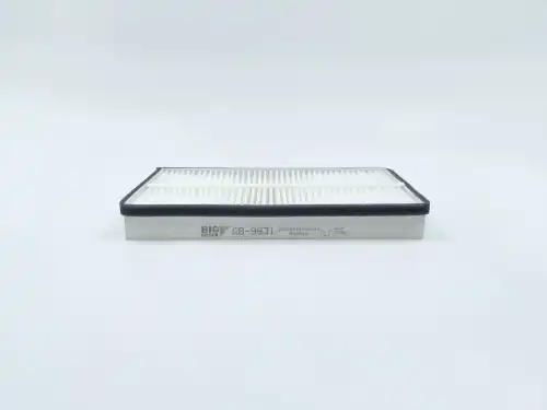BIG FILTER gb9831 - фильтр салона