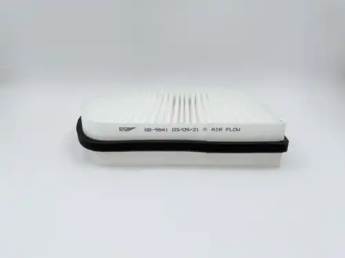 BIG FILTER gb9841 - Фильтр салонный