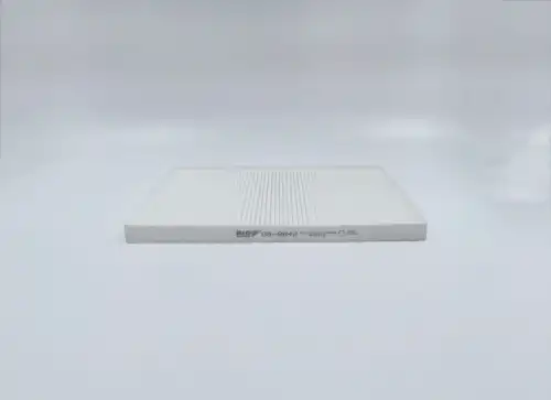 BIG FILTER gb9842 - Воздушный фильтр салона BIG Filter (без рамки)