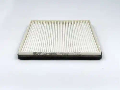 BIG FILTER gb9859 - фильтр салона