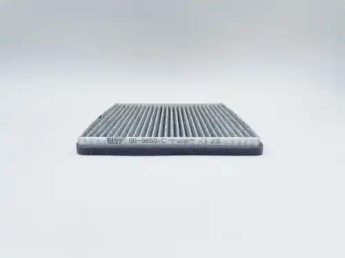 BIG FILTER gb9859c - фильтр салона! угольный\Toyota BB, Rav4 II 00-06, Prius, Yaris I, Chery Tiggo, Sweet