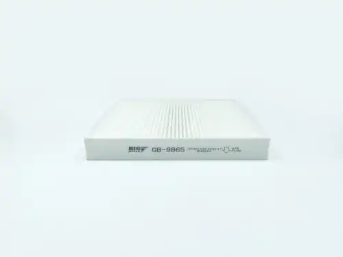 BIG FILTER gb9865 - фильтр салона