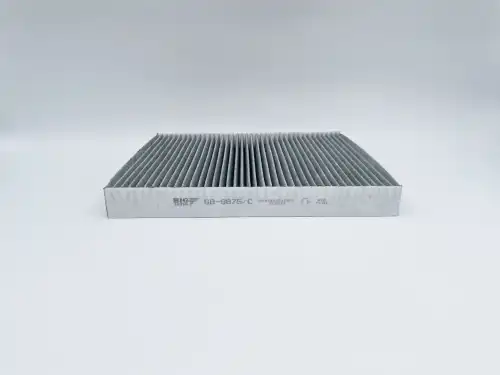 BIG FILTER gb9875c - фильтр салона! угольный\Opel Astra G/Zafira A/B