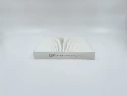 BIG FILTER gb9909 - фильтр салона