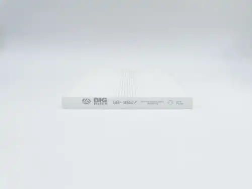 BIG FILTER gb9927 - фильтр салона