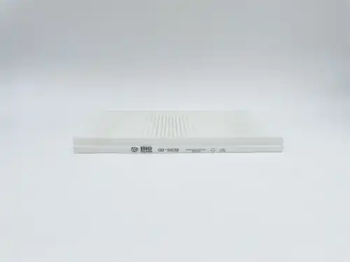 BIG FILTER gb9939 - фильтр салона