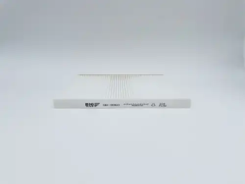 BIG FILTER gb9960 - фильтр салона