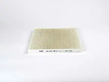 BIG FILTER gb9964 - фильтр салона