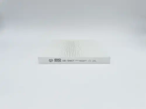 BIG FILTER gb9967 - фильтр салона