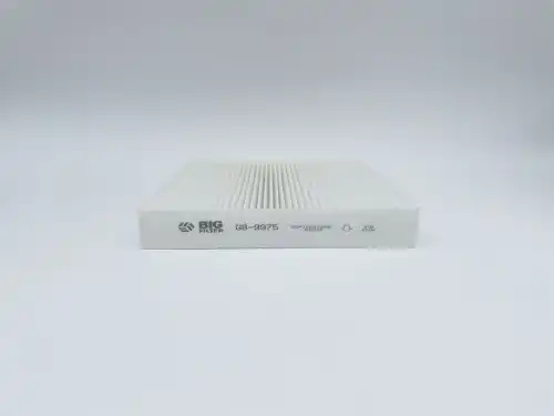 BIG FILTER gb9975 - фильтр салона