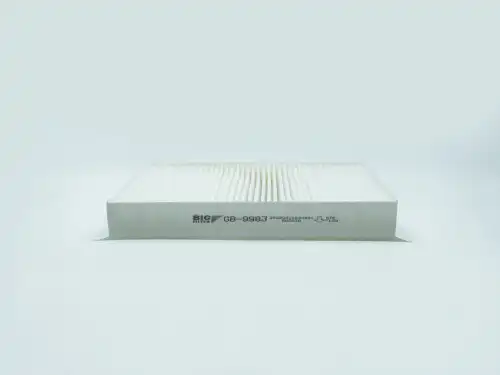 BIG FILTER gb9983 - фильтр салона