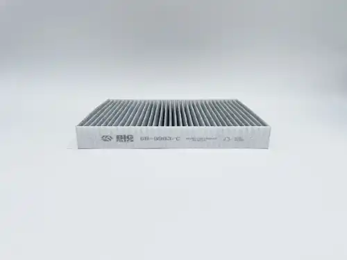 BIG FILTER gb9983c - фильтр салона! угольный\Chery Exeed Lx/ Tiggo 4/ 4 Pro, MB W166