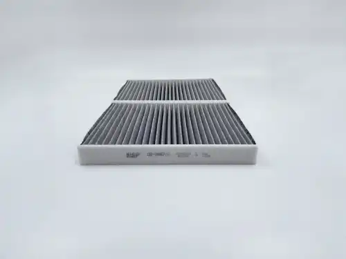 BIG FILTER gb9987c - фильтр салона! к-т 2 шт угольный\ BMW F10/F107/F11/F01 10>