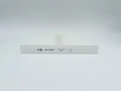 BIG FILTER gb9989 - фильтр салона