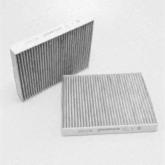 GREEN FILTER if0123k - фильтр салона 2шт. угольный