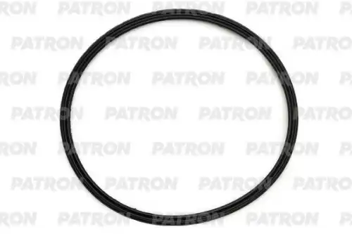 PATRON pg70011 - PG70011 КОЛЬЦО УПЛОТНИТЕЛЬНОЕ BMW N47/ N57/ N54/M57 (ТУРБОКОМПРЕССОРА)
