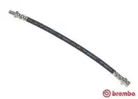 BREMBO t24141 - Тормозные шланги