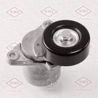 TATSUMI tfd1048 - натяжитель ремня с роликом